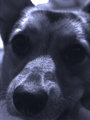 Kelsa Peeking