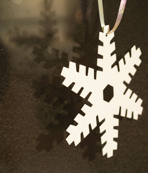 Day 16 - Reflections of a Snow Flake
