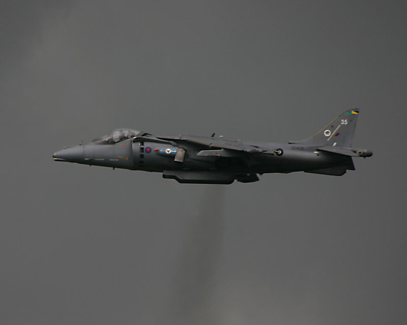 harrier in a storm