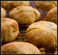 July 1 : Snickerdoodles!!!