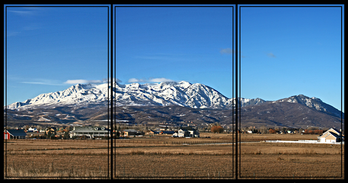 The View