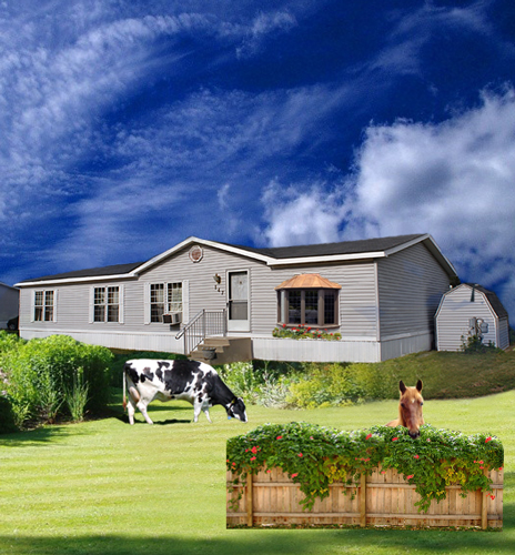 Pimp My House