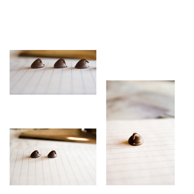 July 8: Chocolate Chips
