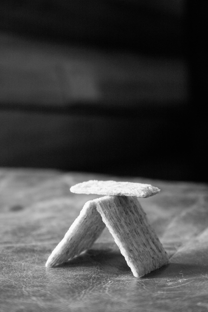 July 10: Zen Triscuits :)