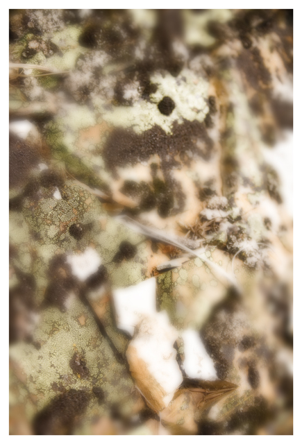 Mold