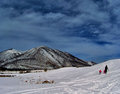 sledders