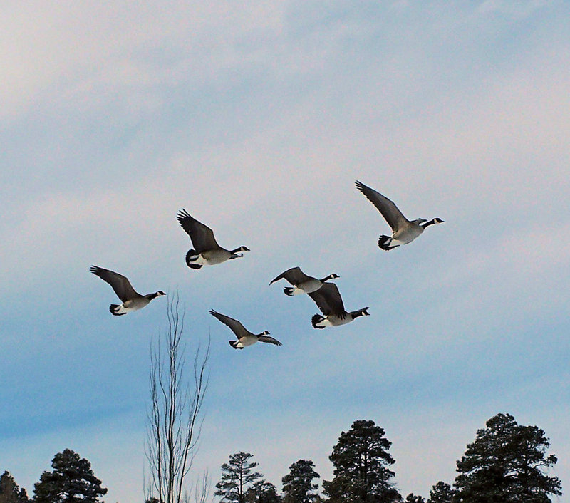 Sky Ballet