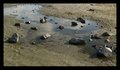 Rock Pool?