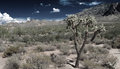 Apache Trail II.jpg