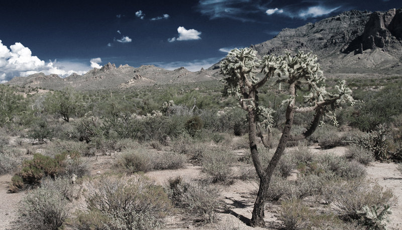 Apache Trail II.jpg