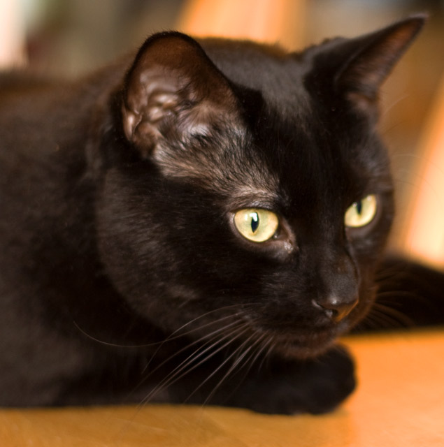 Monster-in-Repose.jpg