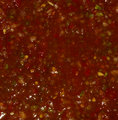 Day 8, Salsa!