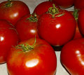 Day 22, Attack of the Killer Tomatos!