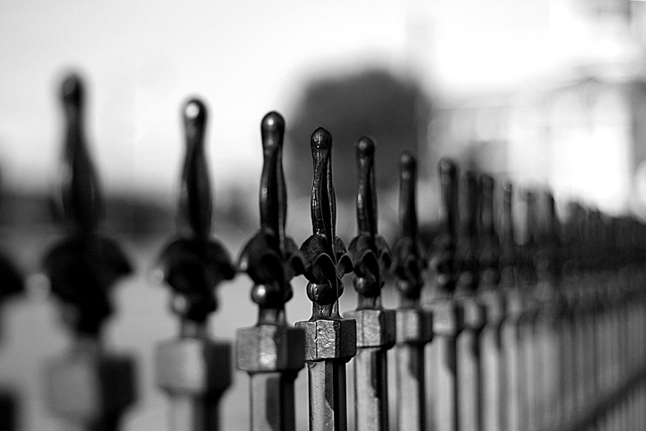 Fence Detail, Day 12