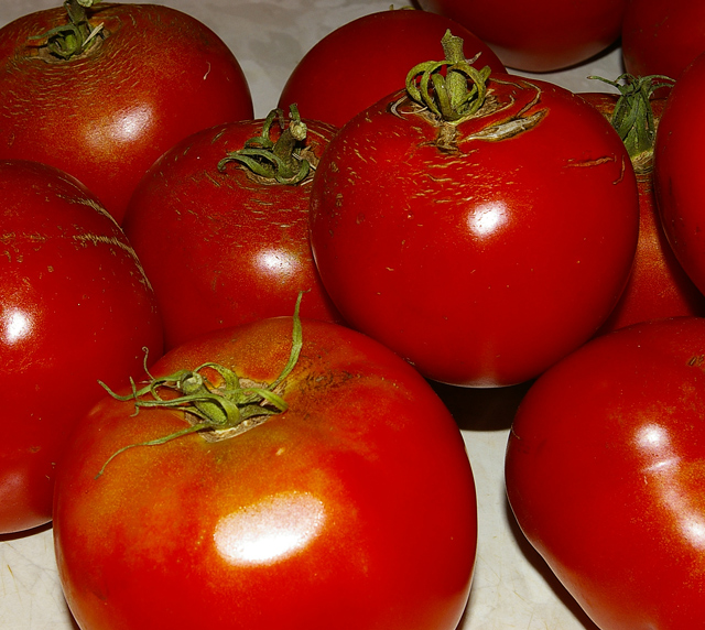 Day 22, Attack of the Killer Tomatos!