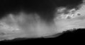 Montana Rain