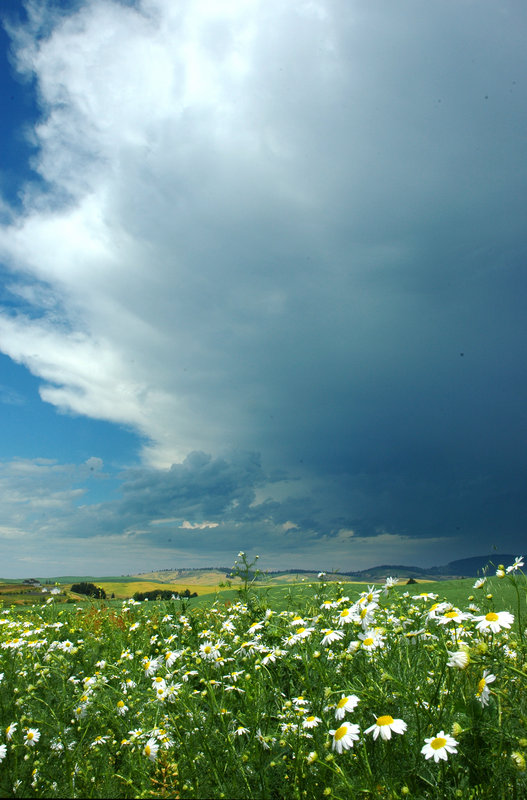 Palouse Storm