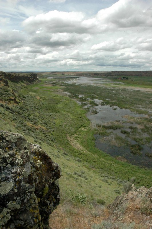 Wetland