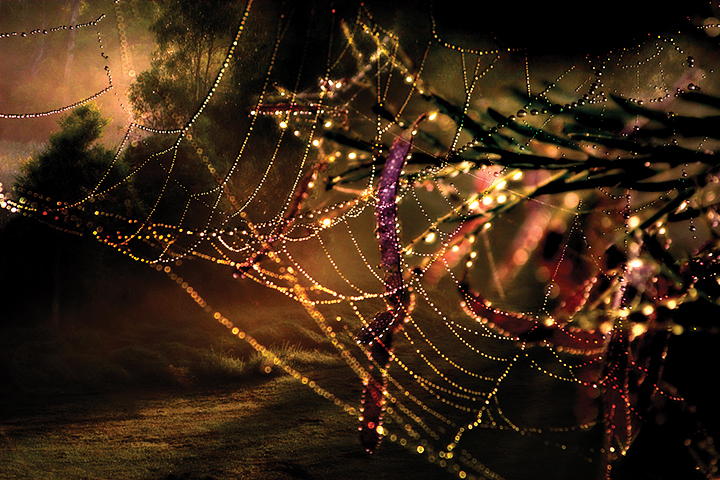 Faerie