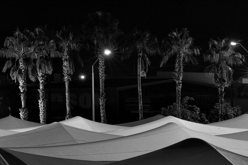 Oasis