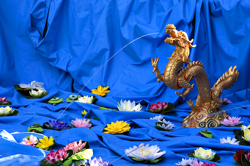 Drought Stricken Lotus Pool