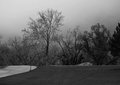 the-park
