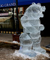 icebear