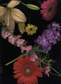 scanner flowers