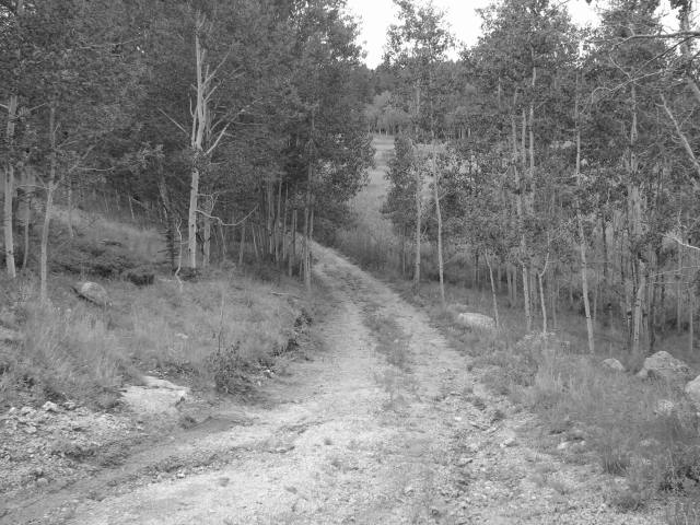 Road to the cabin