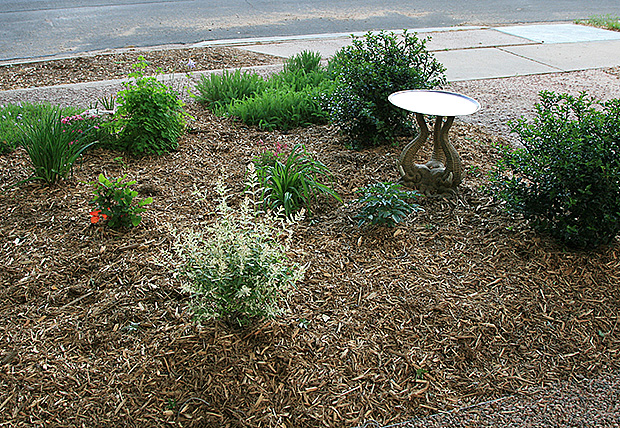 yard