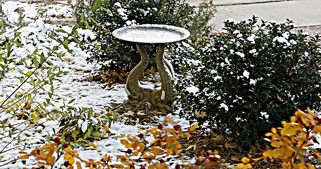 first-snow
