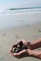 Beach Pebbles