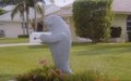 Mailboxes 001.jpg