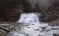 Stonybrook 004.jpg