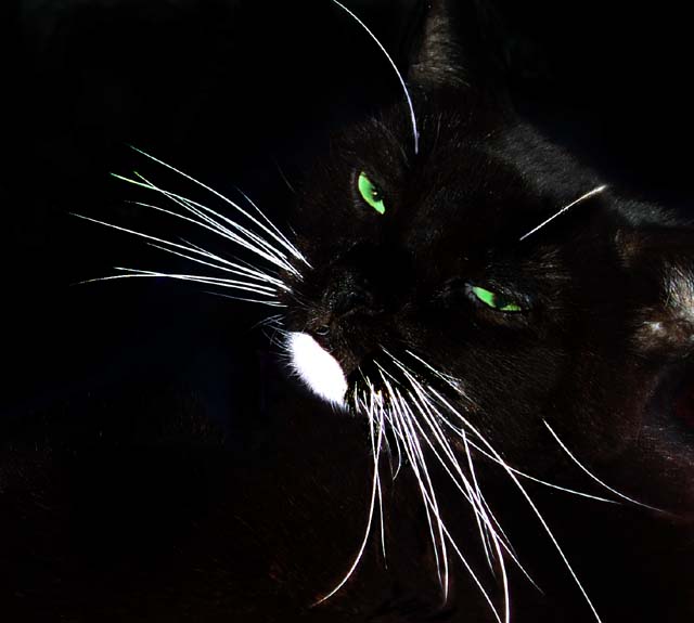 those green eyes