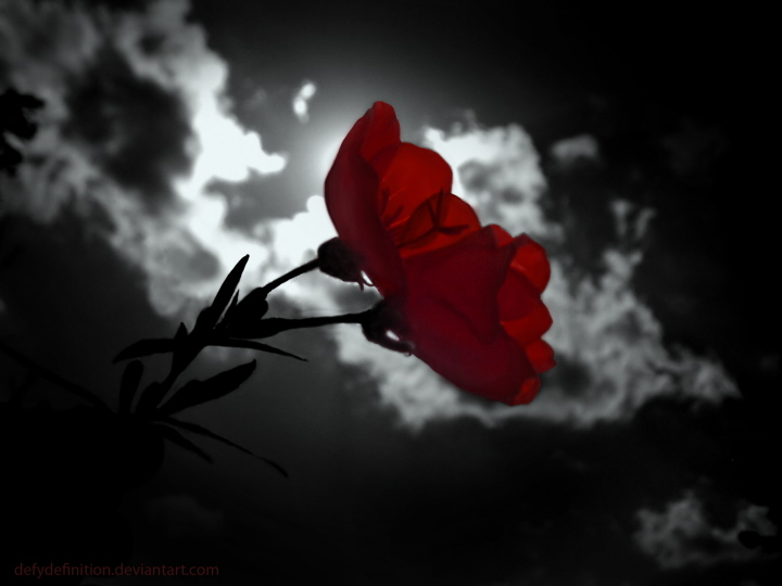 midnight forever
