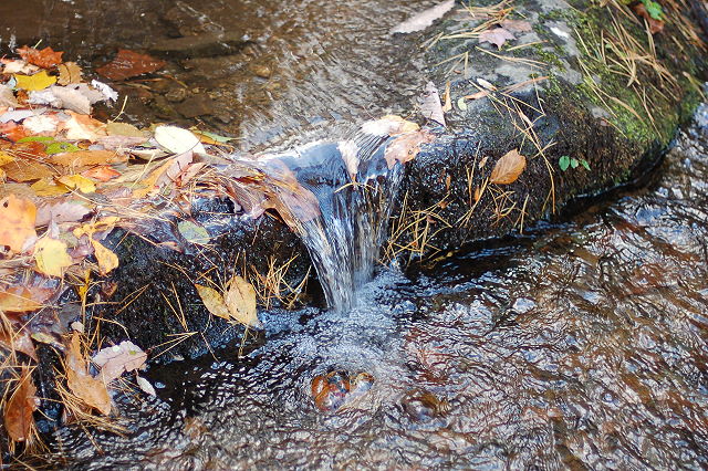 shenandoah_0013.JPG