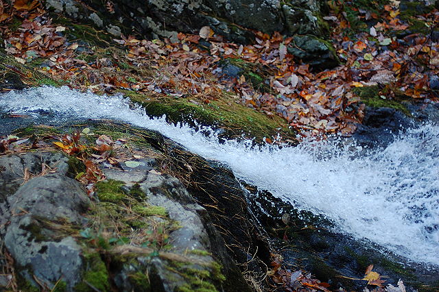 shenandoah_0021.JPG