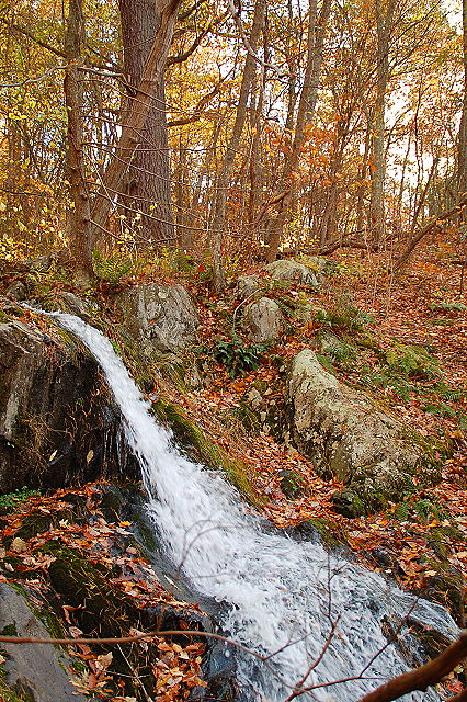 shenandoah_0065.JPG