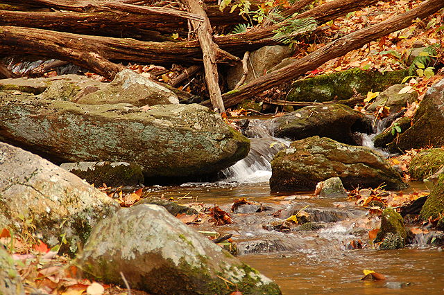 shenandoah_0075.JPG