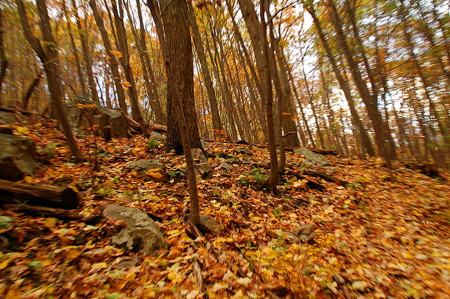 shenandoah_0096.JPG