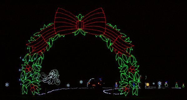 Light Festival