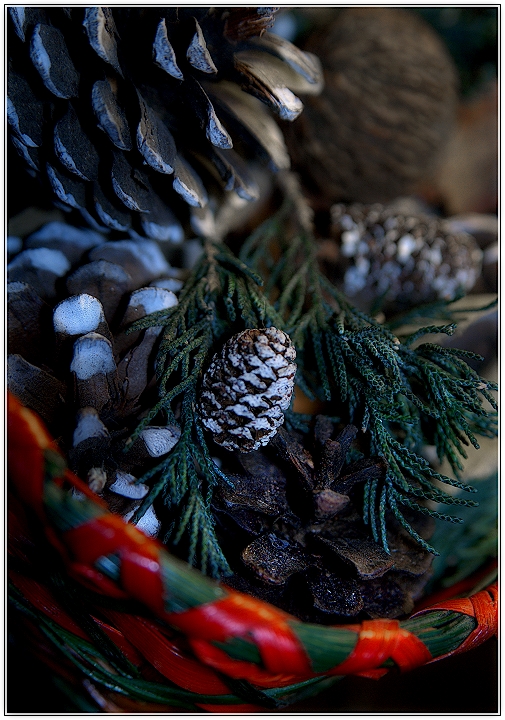 Holiday Potpourri