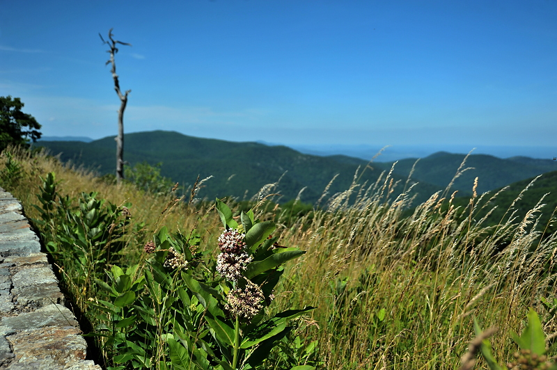 landscape_0169sm