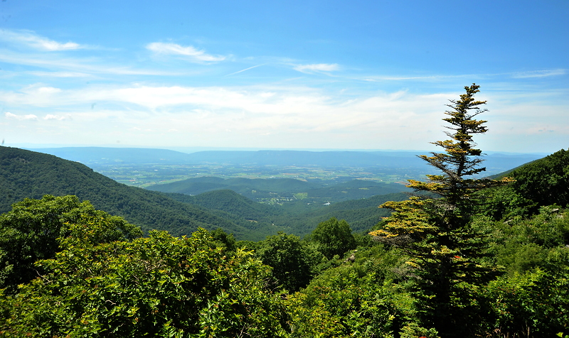 landscape_0149sm