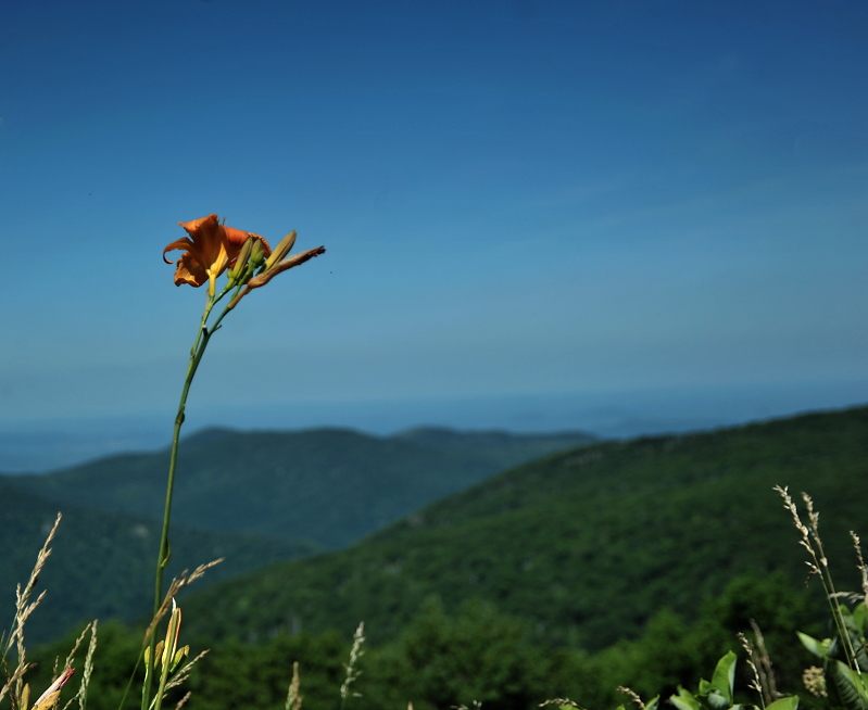 landscape_0179sm