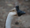 What Are You Looking At?