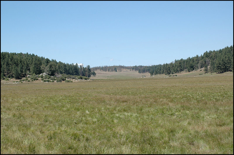 Far View