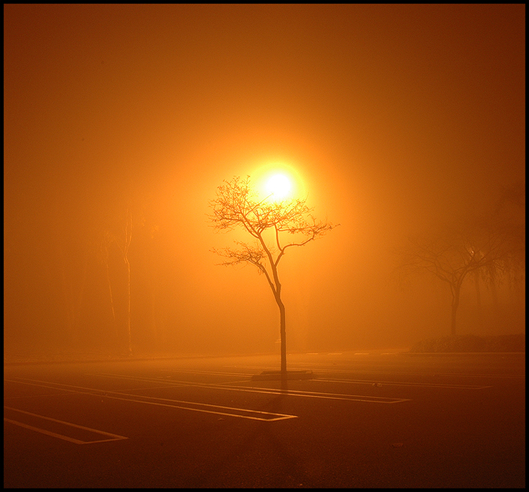 Apocalypse Now.