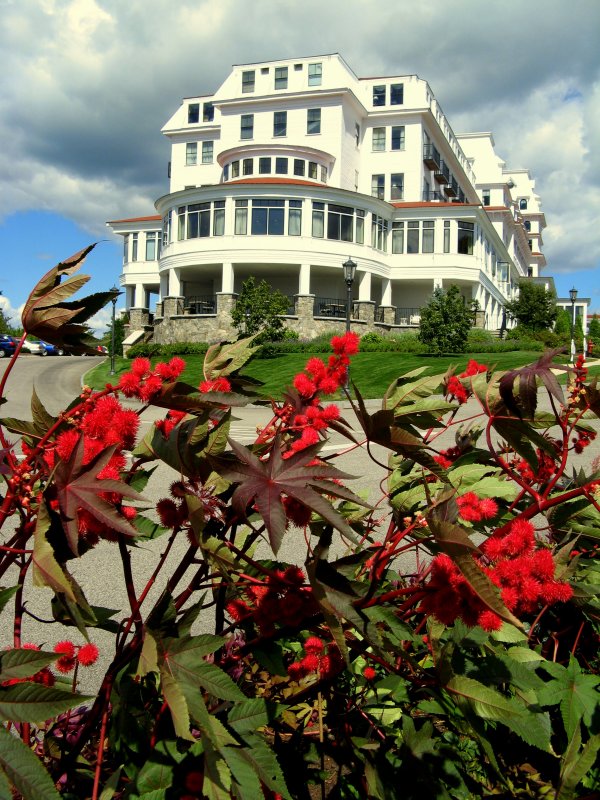 Wentworth by the Sea